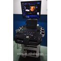 DW-C900 Equipo médico basado en 4D Color Doppler Ultrasonido